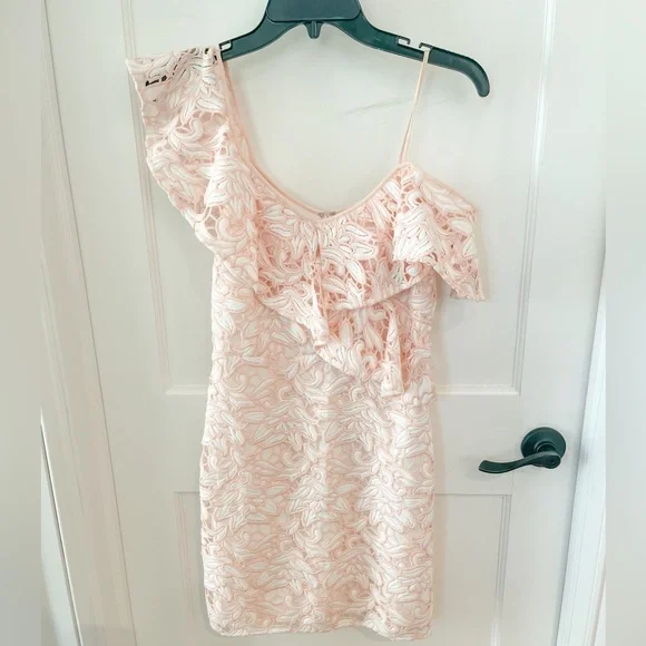 Club Monaco pink and white lace dress